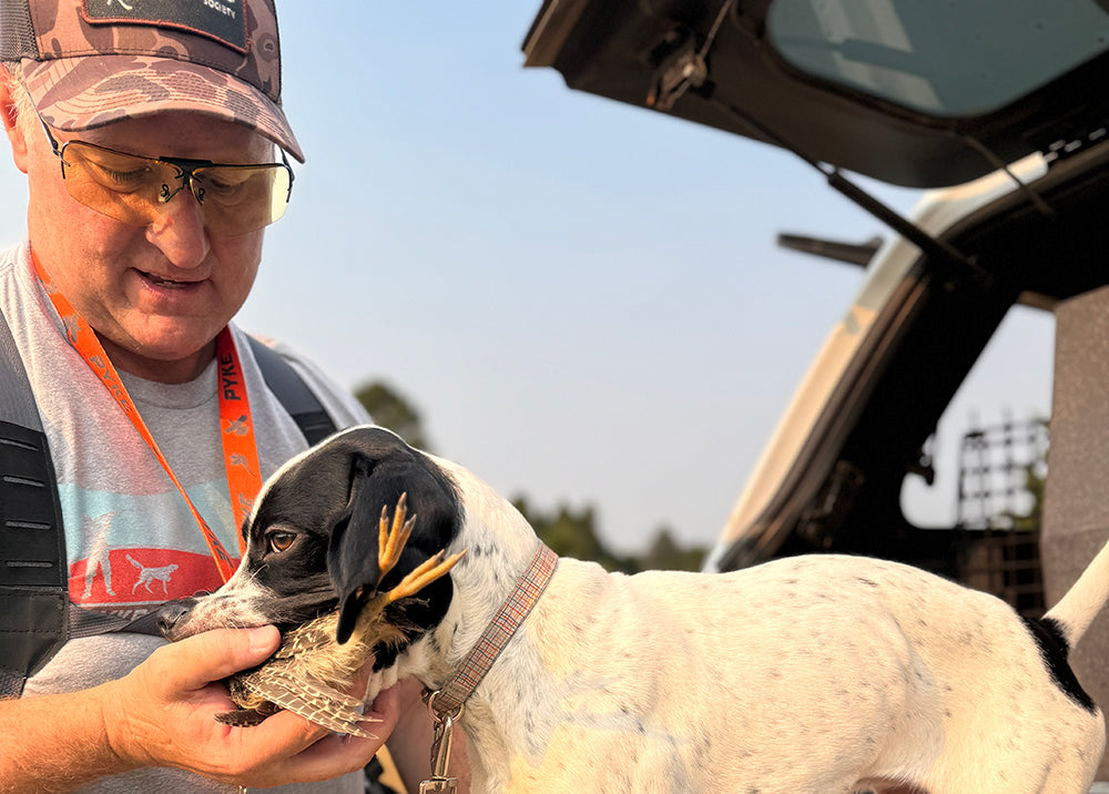 Preparing Your Hunting Dog For The Bird Season